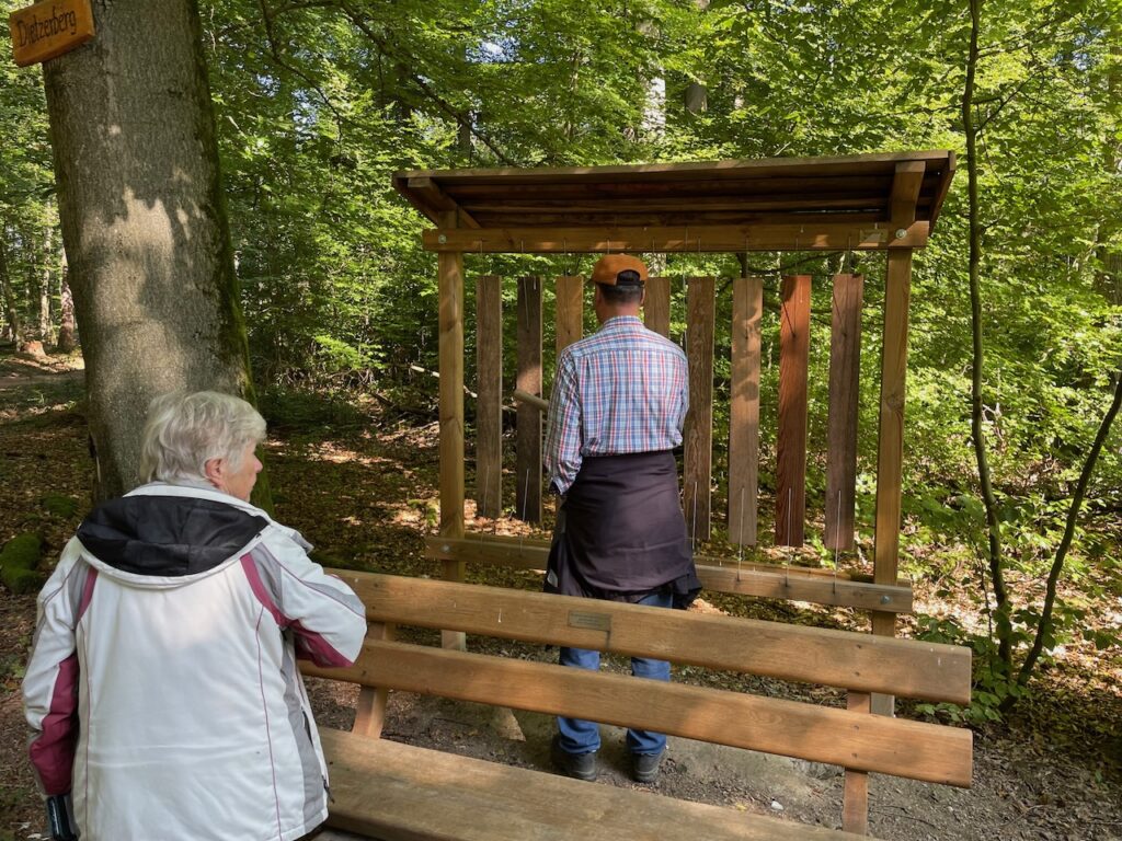 Gut besuchte Führung am Klangweg